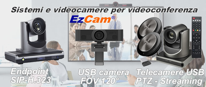 Videoconferenza